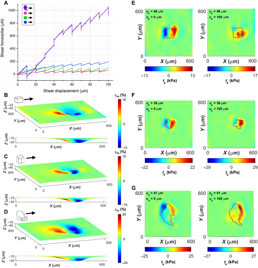局部横向接触控制水凝胶基底上微图案表面的剪切牵引力