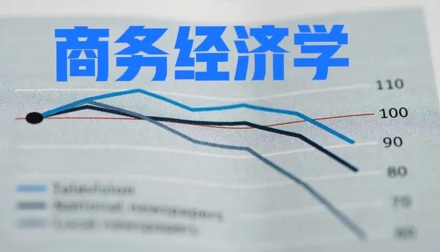 经济学类专业：商务经济学