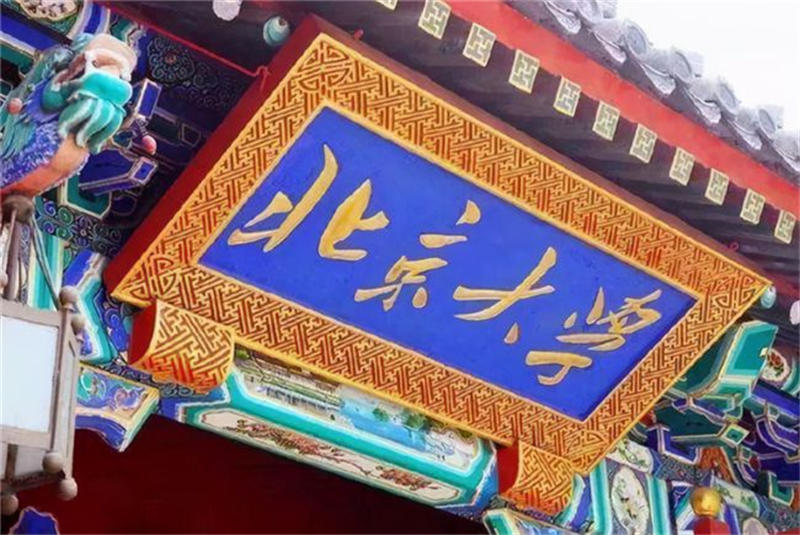 2009年，高考状元何川洋659分考上北大，却被拒录，为何