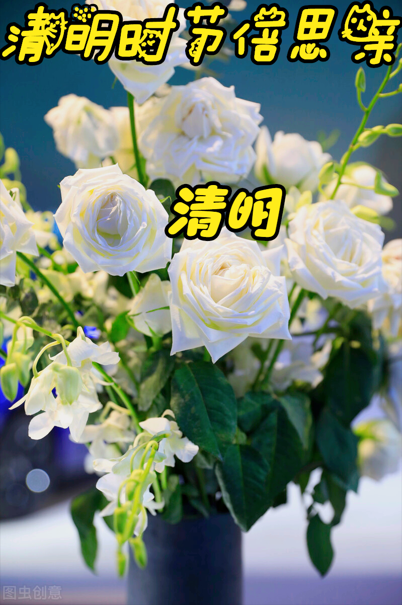 一花一思念，清明细雨花漫天，年年祭扫仙人墓，岁岁感念亲人情
