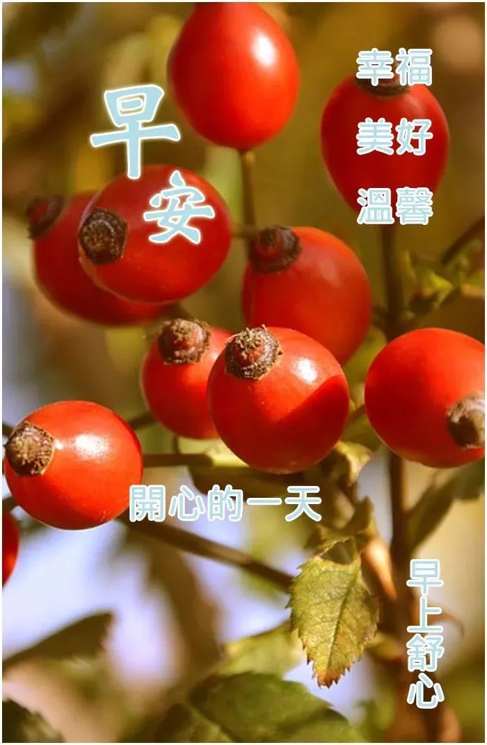 周一最暖心的早安问候闪动图片带表情,平安健康,就是最大的幸福