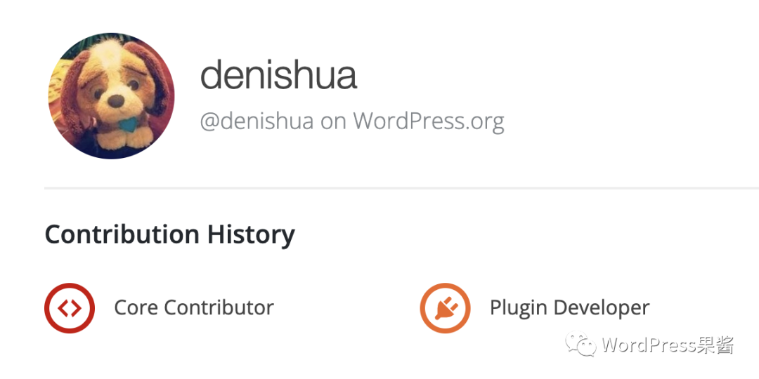 WordPress 发布 6.0.1 安全更新，其中有我提交的 bug