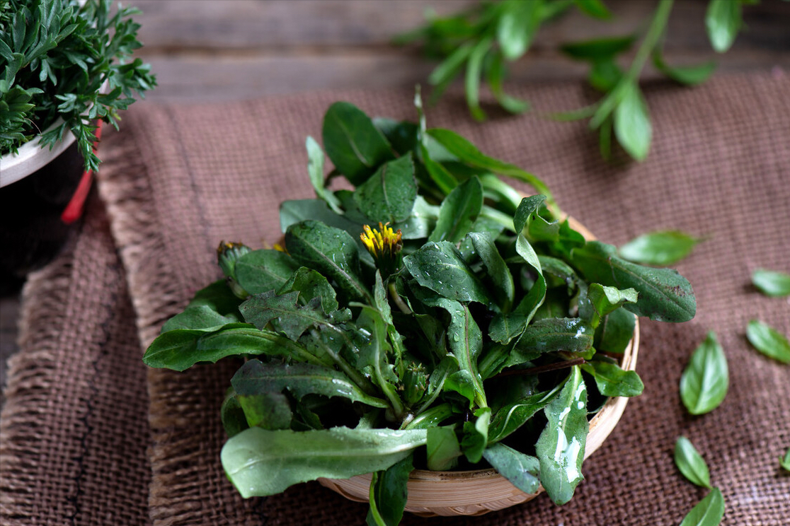 春天到了，30種野菜辨別圖片，帶你認識不同的野菜和吃法