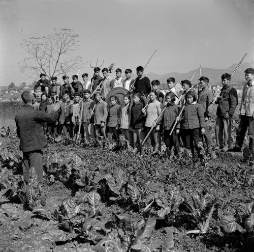 BAT企业六大问题:高科技、规模、赚钱、IT技术、管理能力等