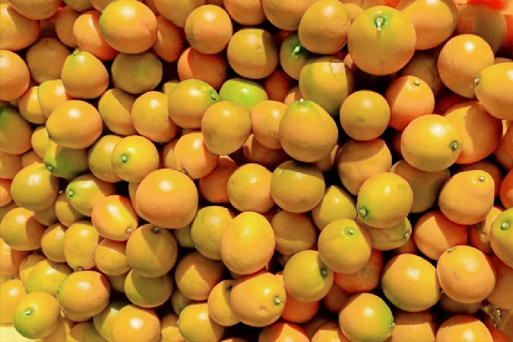 “10元3斤”已是梦，今年广西柑橘价格过于“嚣张”，发生了什么