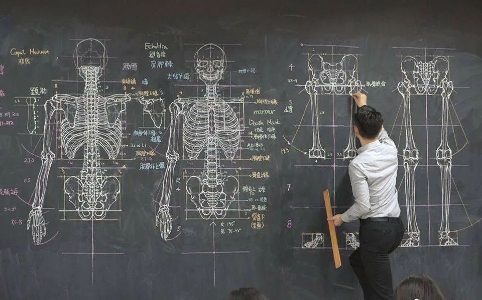 雕塑图片人物手绘(这个帅过男模的老师手绘人体骨骼圈粉上百万，还两次获世界级大奖)