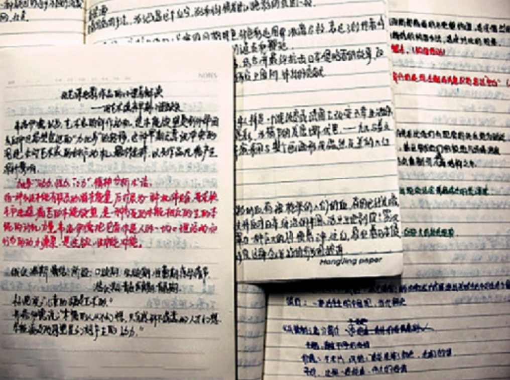 2009年王百洋获九省状元，被北大录取，立誓报效祖国，他做到了吗