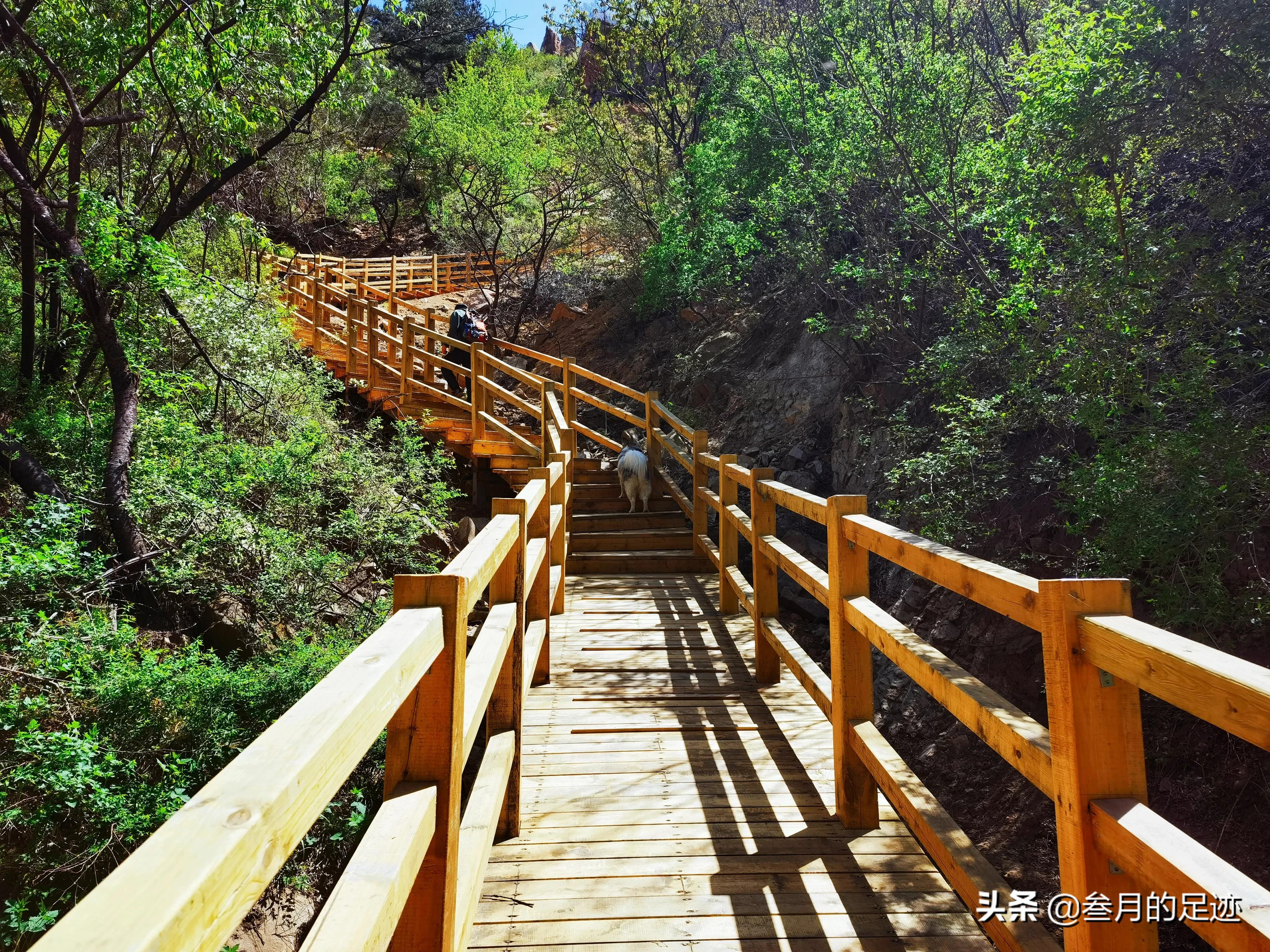 北京昌平，自驾游环线轻徒步线路，大黑山木栈道之旅