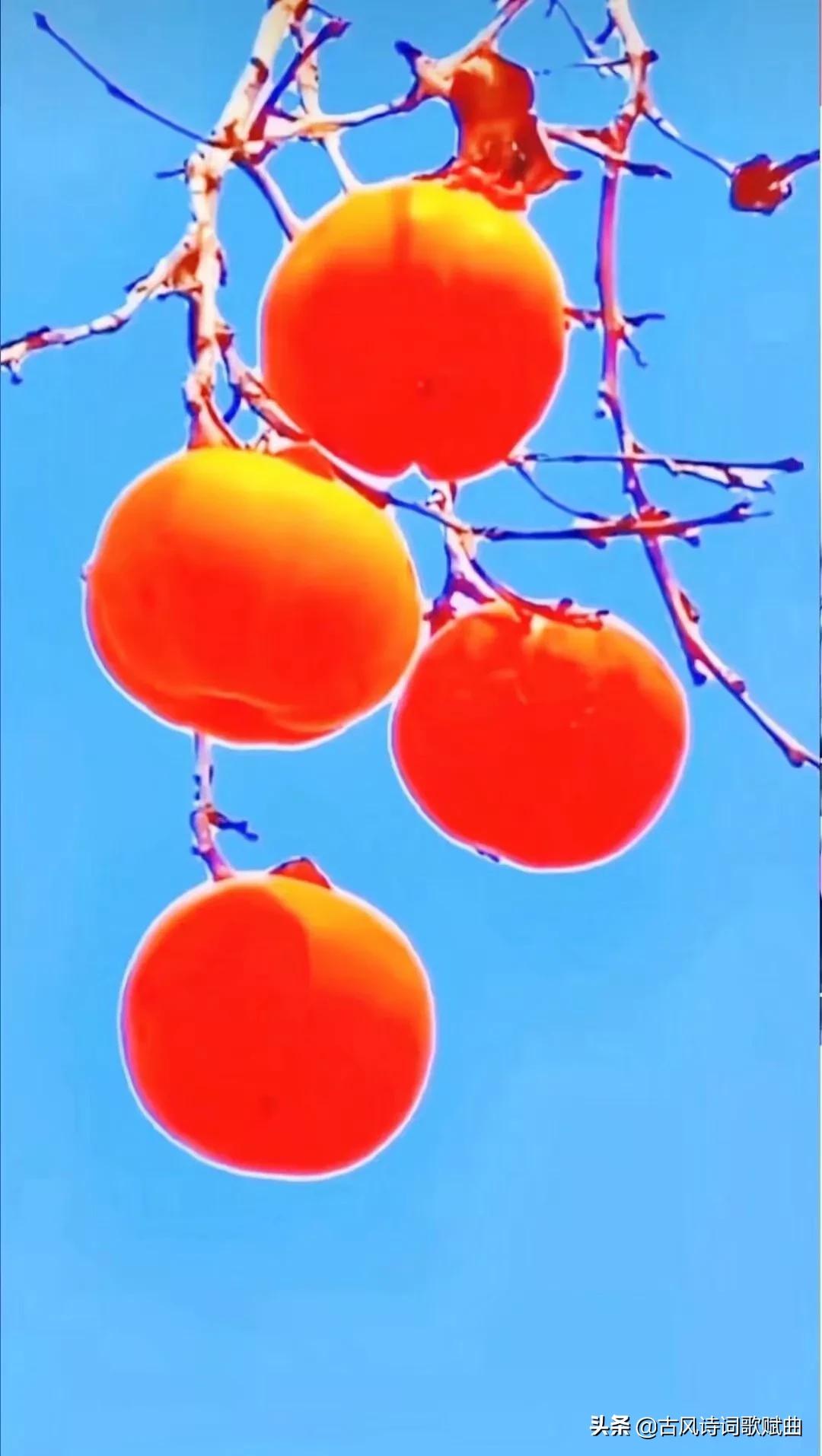 100句既有正能量，又温暖人心的句子，简短文艺，治愈心灵