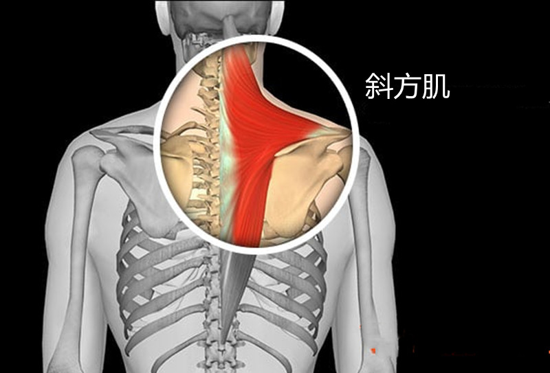 脖子酸痛是什么原因引起的「脖子上疼痛是什么原因」