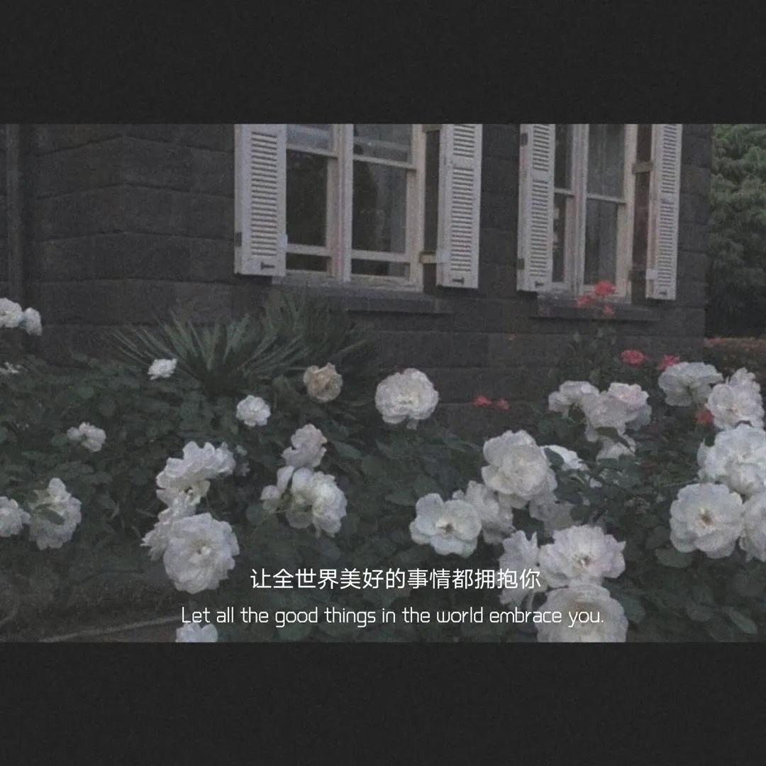 ֿ㣨ֿС˵֪-Ʒ