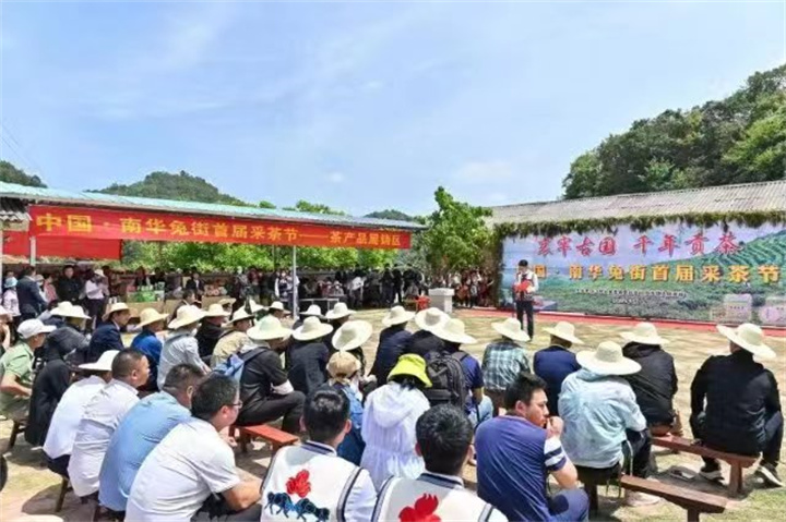 南华县文化和旅游局“五举措”推进作风革命见行见效
