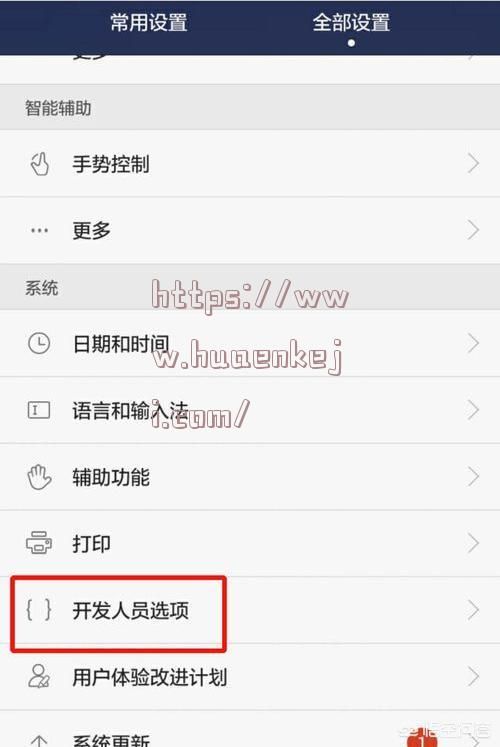 手機上的開發者模式是什么意思？