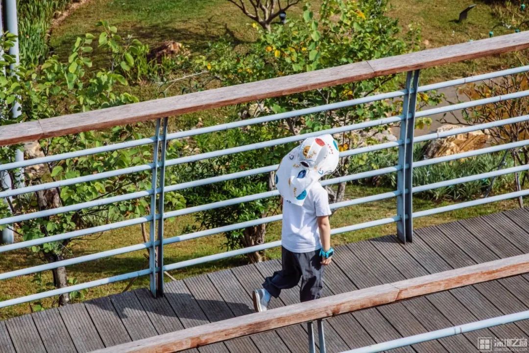 深圳马拉松（深圳资深全马跑者：跑步没有意义，为跑而跑）