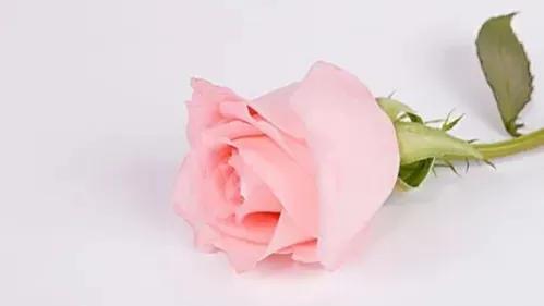 õ�廨11���de���壨õ�廨11���de���壩-��Ʒ���ci��