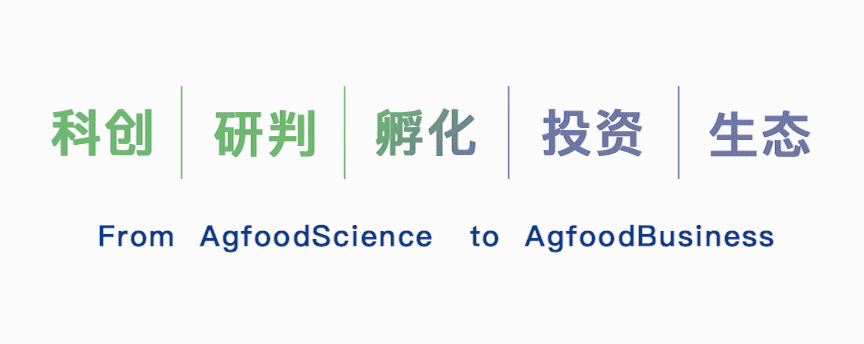 合成生物初创衍微科技获 5000 万人民币天使轮融资