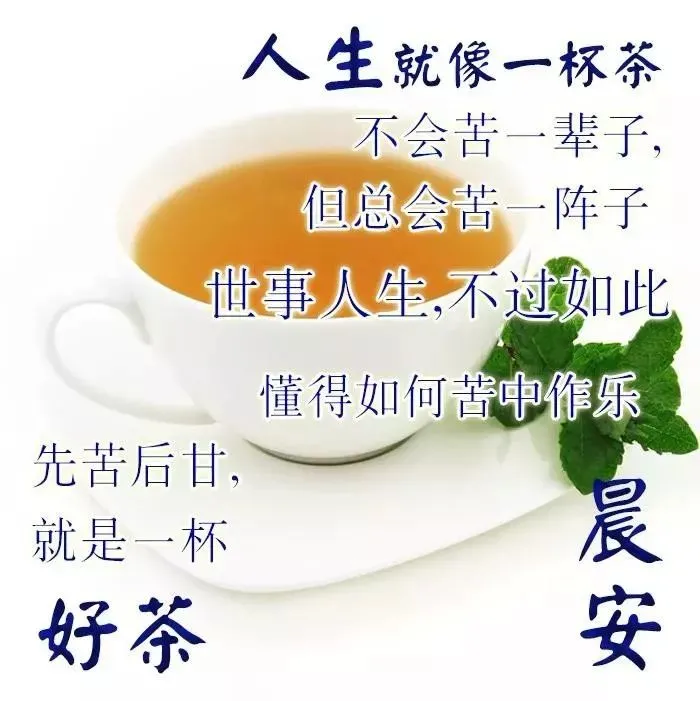 正能量茶语图片