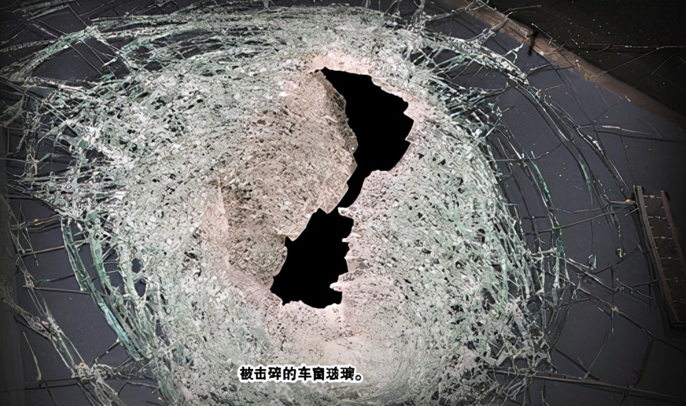 2011年，3个男孩上高速砸车取乐，一女子被砸身亡，死者身份特殊