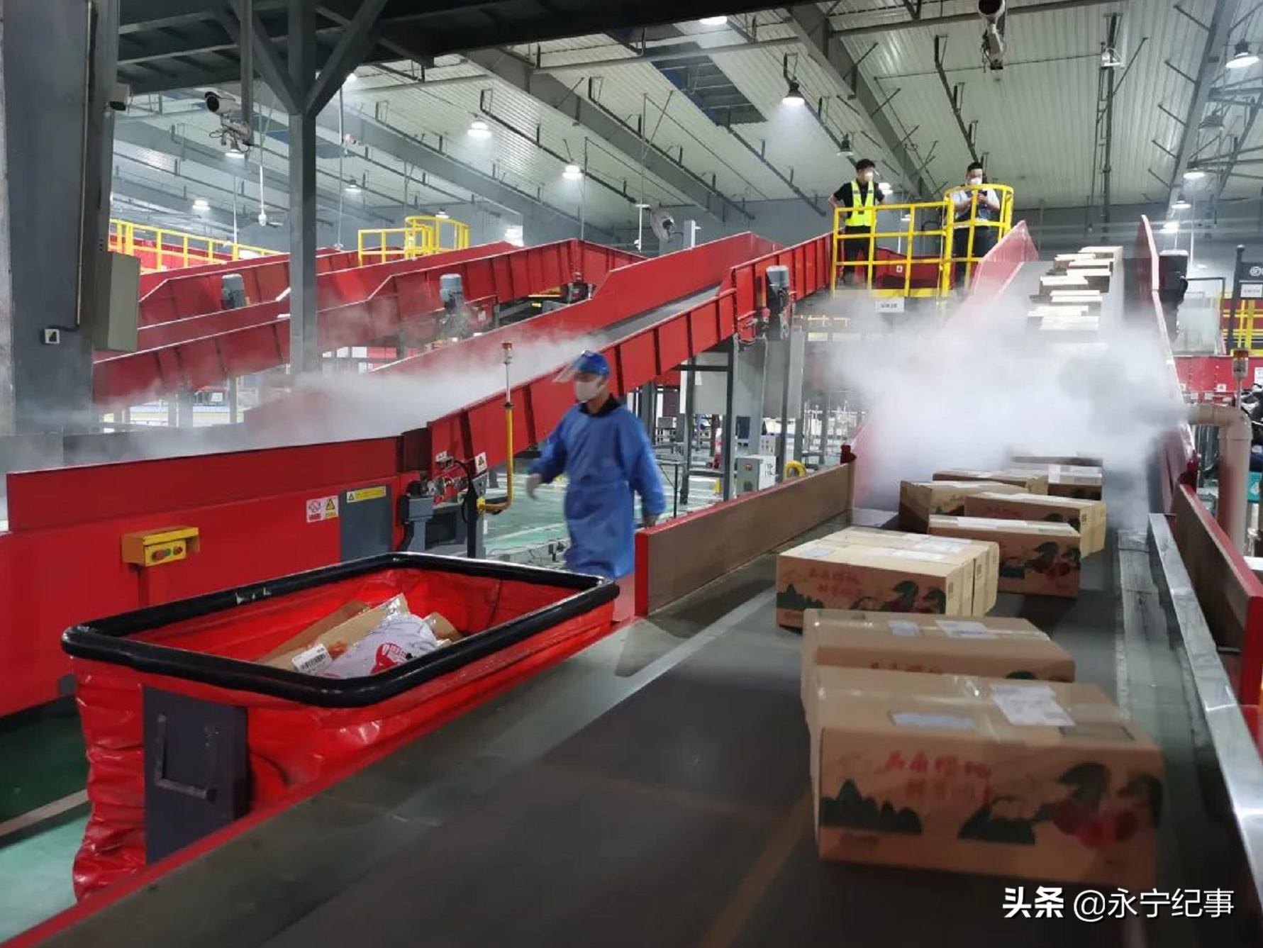 自贸让“海淘”更便捷 免税店“来到”家门口