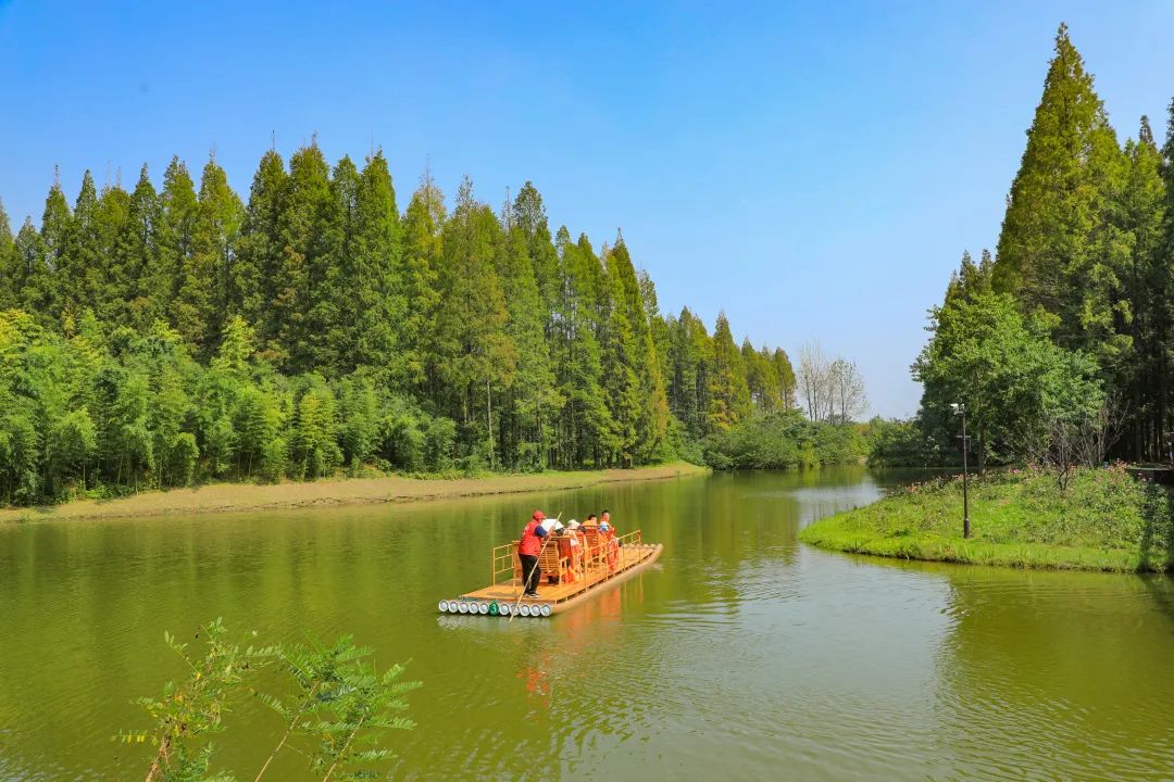 相約五月 漫步東臺黃海森林公園