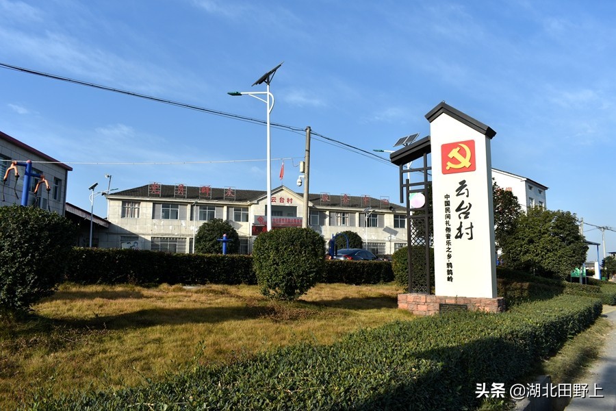 見(jiàn)證一個(gè)柑橘產(chǎn)業(yè)大村——鴉鵲嶺鎮(zhèn)云臺(tái)村回訪小記