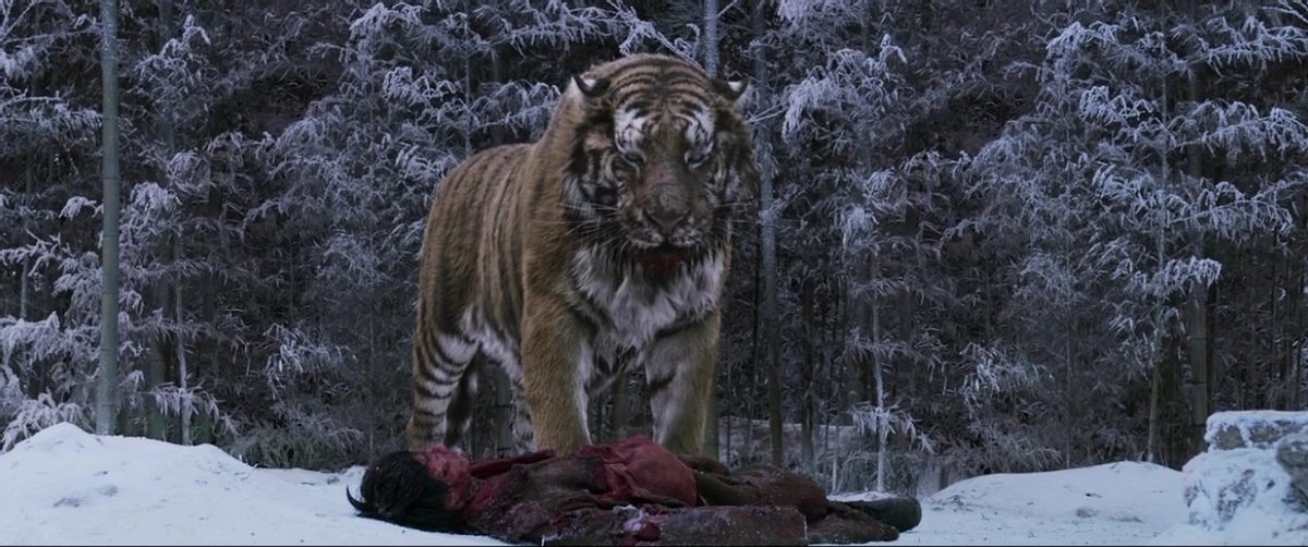 大虎电影剧情「分析」