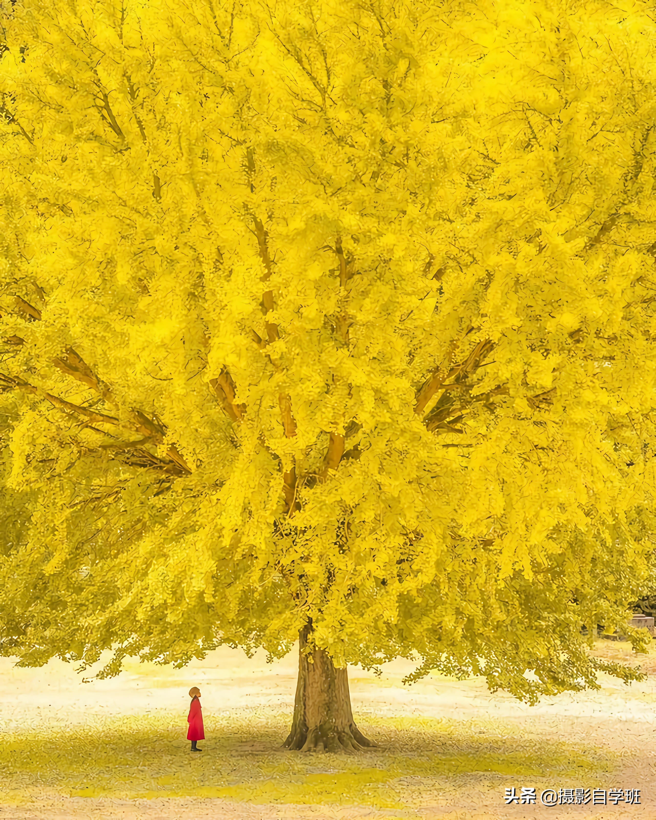 8个摄影小技巧，拍美风景照片，从新手变高手并不难