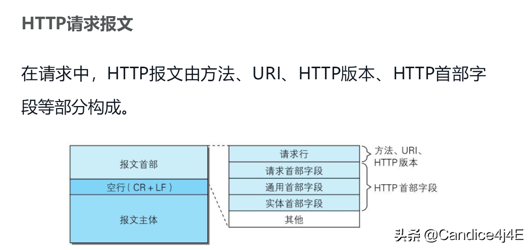 你必須知道的常用的報文首部字段