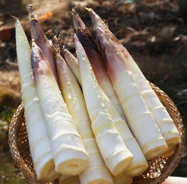 �Ѵ����ڻؼң�������δ����������16ζҰ��ͼ��