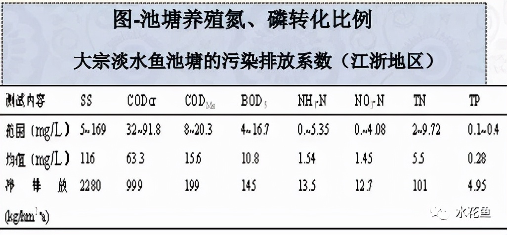 水產(chǎn)養(yǎng)殖尾水處理——多級(jí)人工濕地凈水技術(shù)