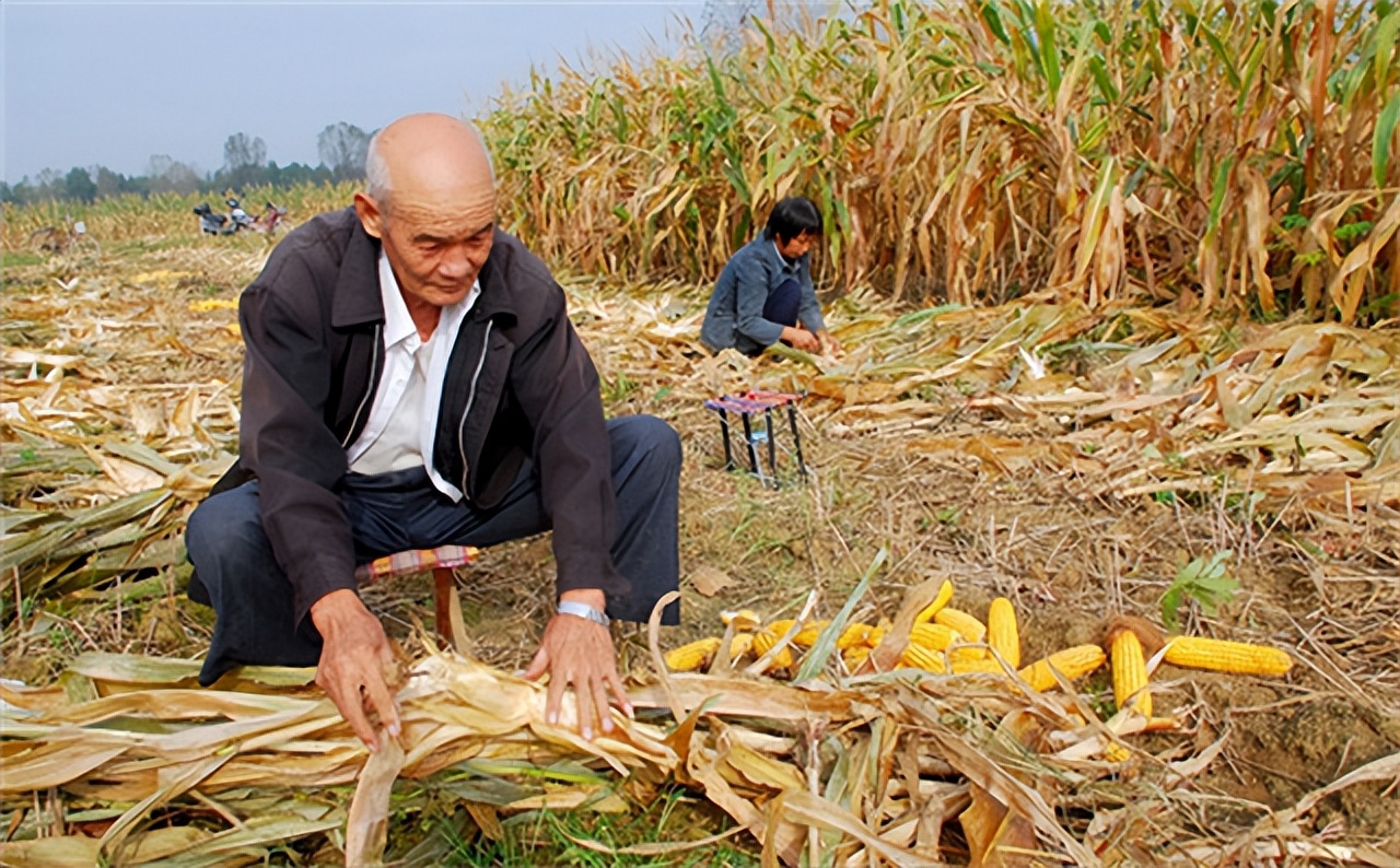 18年孙女高考成绩47分,爷爷请求复查考卷,原因竟是为减轻家庭负担