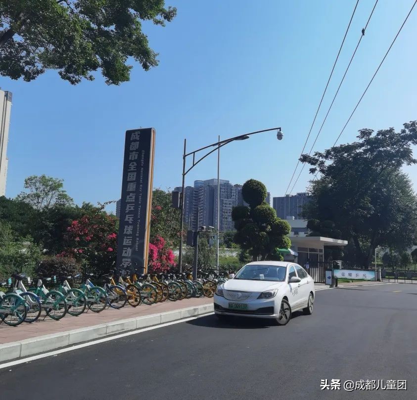 小學(xué)生乒乓球多久能學(xué)會(huì)（學(xué)習(xí)門檻極低的國(guó)民運(yùn)動(dòng)！建議孩子都能學(xué)幾年）