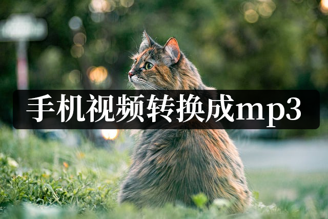 手机音乐转换成mp3格式（免费转换mp3格式的软件）-第1张图片-科灵网