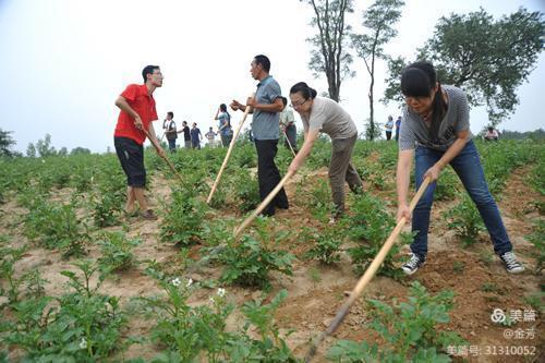 「知青岁月」北大荒真不愧是肥沃的土地