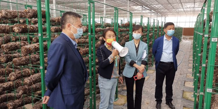 �������� ������ҵ����δ�����г���ܾ��ƶ�ũҵ��׼��������