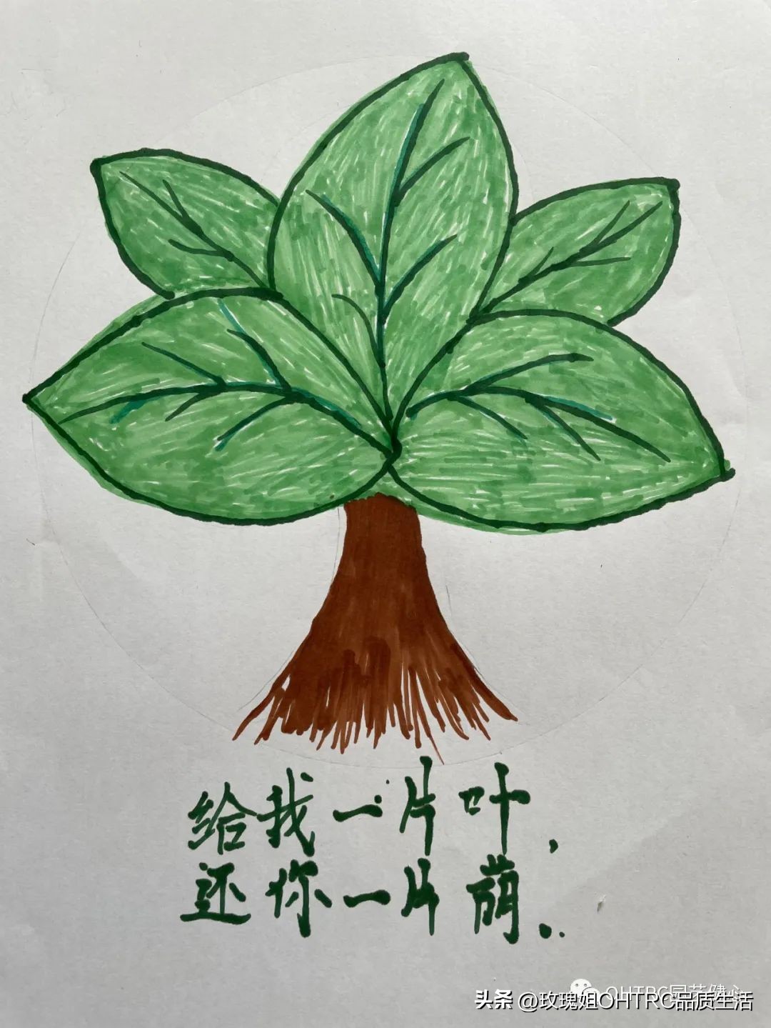 编号04编号03编号02编号01手绘海报爱树护树使者第一期的作品.