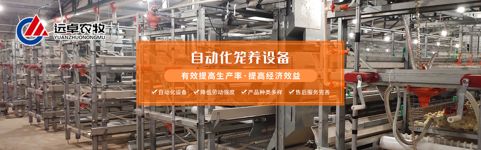 大規(guī)模自動(dòng)化蛋雞養(yǎng)殖場(chǎng)一例夏季通風(fēng)不匹配引發(fā)雞群熱應(yīng)激