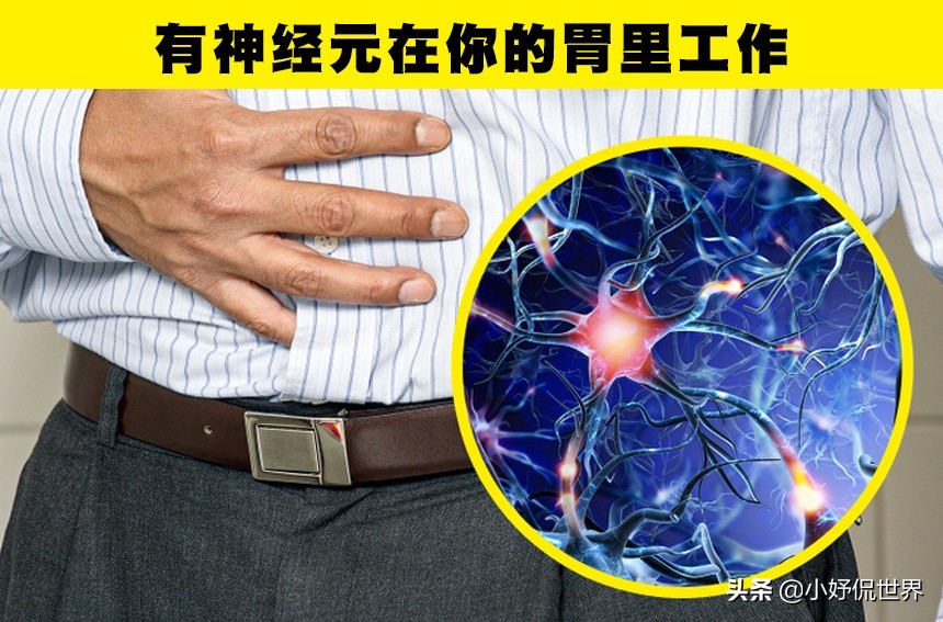 学校可能没有教过你，但非常真实和神秘的8个冷知识