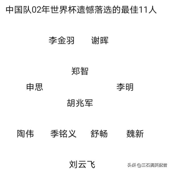 02年世界杯李金羽入选了吗(中国队02年世界杯遗憾落选的最佳11人)