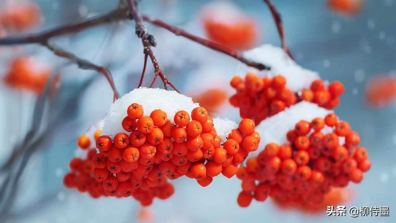 迎接2022年的第一场雪，学习3个摄影技巧，把雪景照片拍得更漂亮