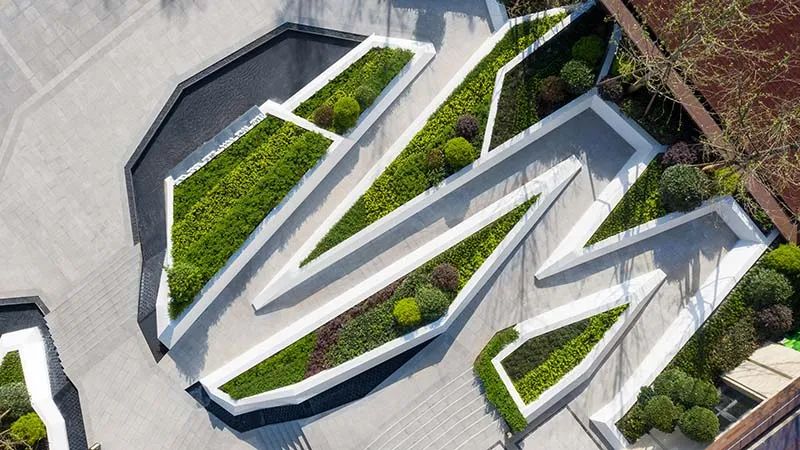 用心的植物搭配，超级美