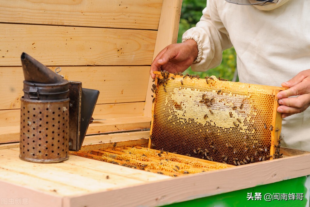 清白糖获取纯蜂蜜，一点也不靠谱，专业与副业养蜂人的区别
