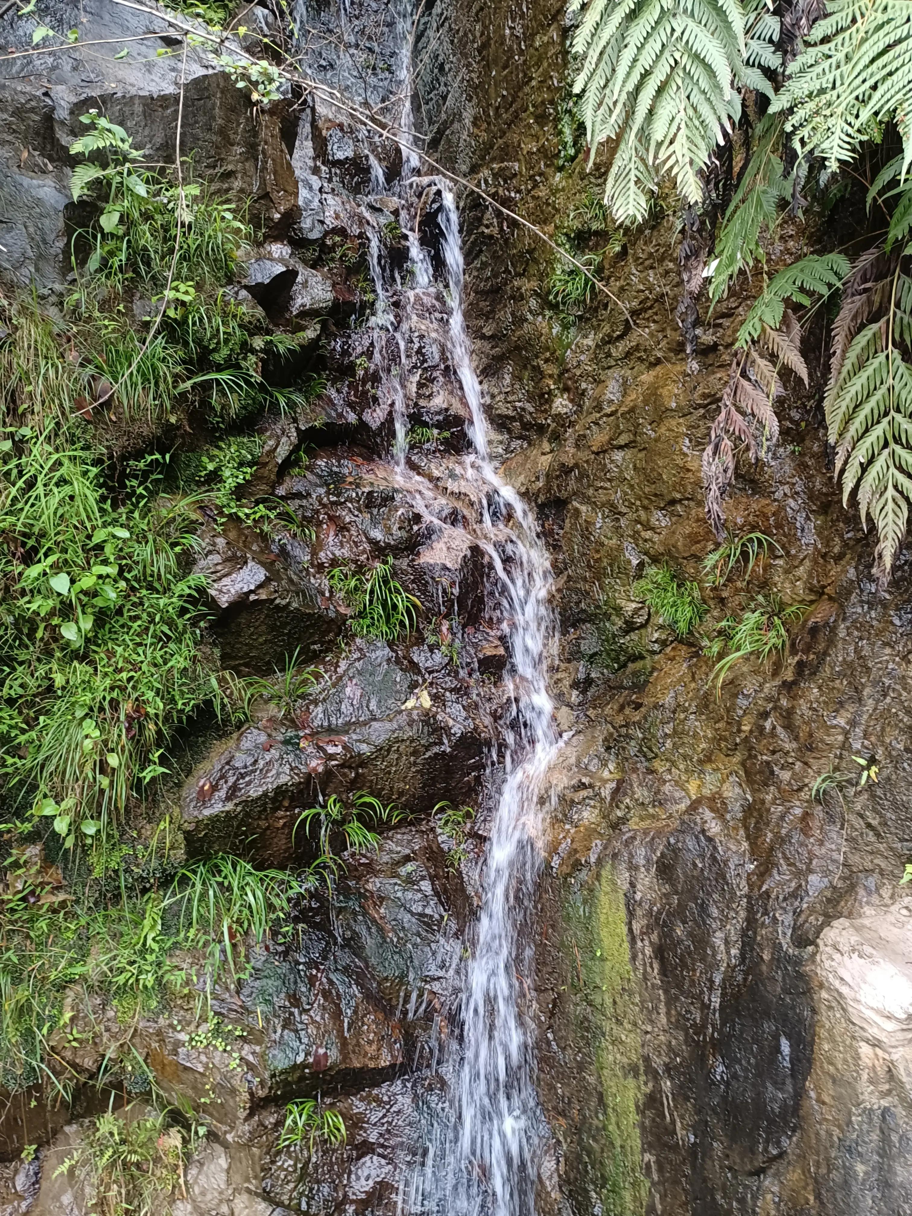 行到水穷处，坐看云起时一一雨游白云山