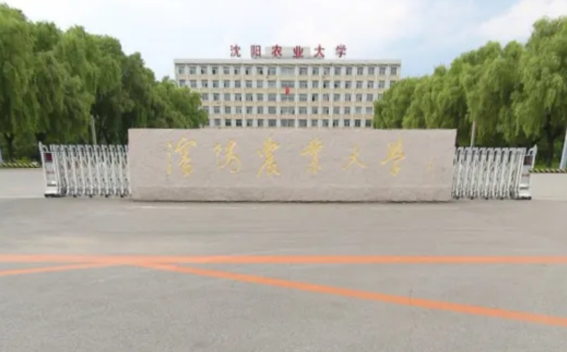 2022辽宁省前十强大学出炉，大连理工不负众望，东北财大未进前三