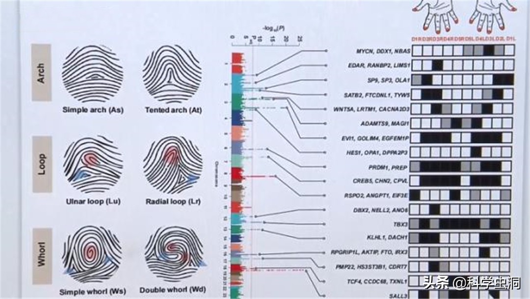 一斗穷、二斗富？康熙10个“簸箕”，科学家发现斗与簸箕的奥秘