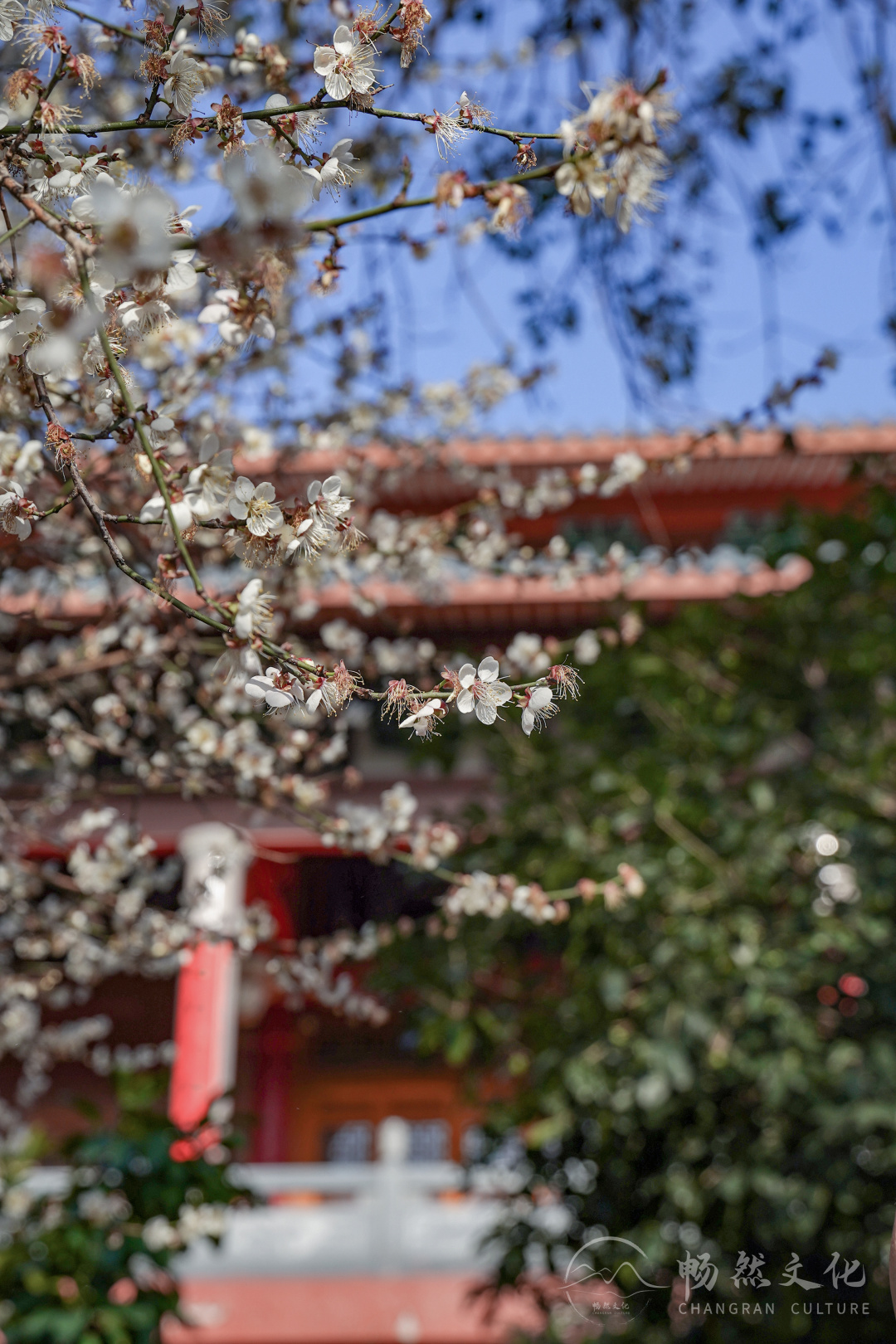 福州旗山万佛寺（福州旗山万佛寺图片）-第42张图片-科灵网