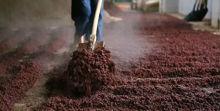 带你去看看那些产出好酒的窖池