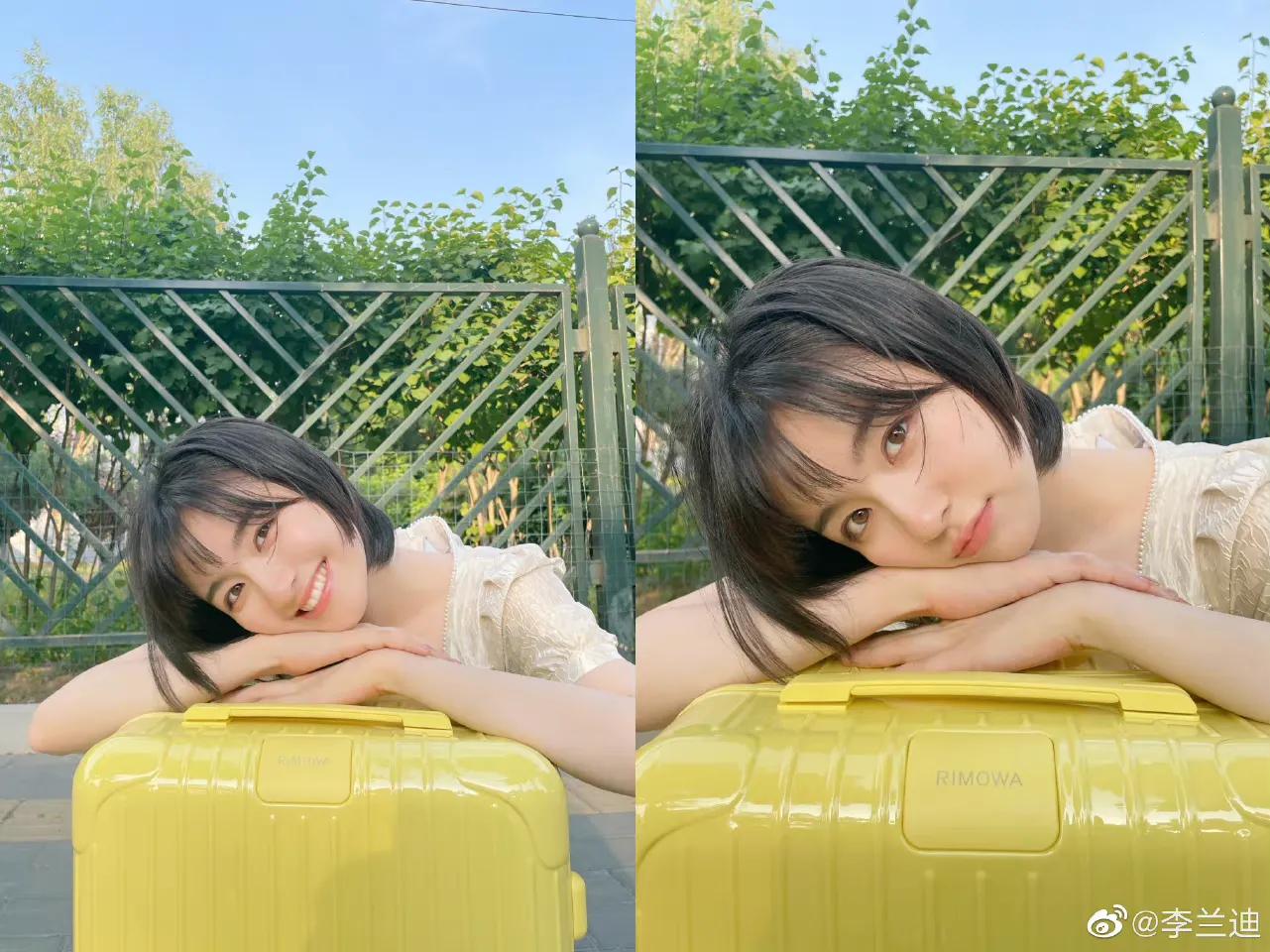 今日份新鲜的李兰迪