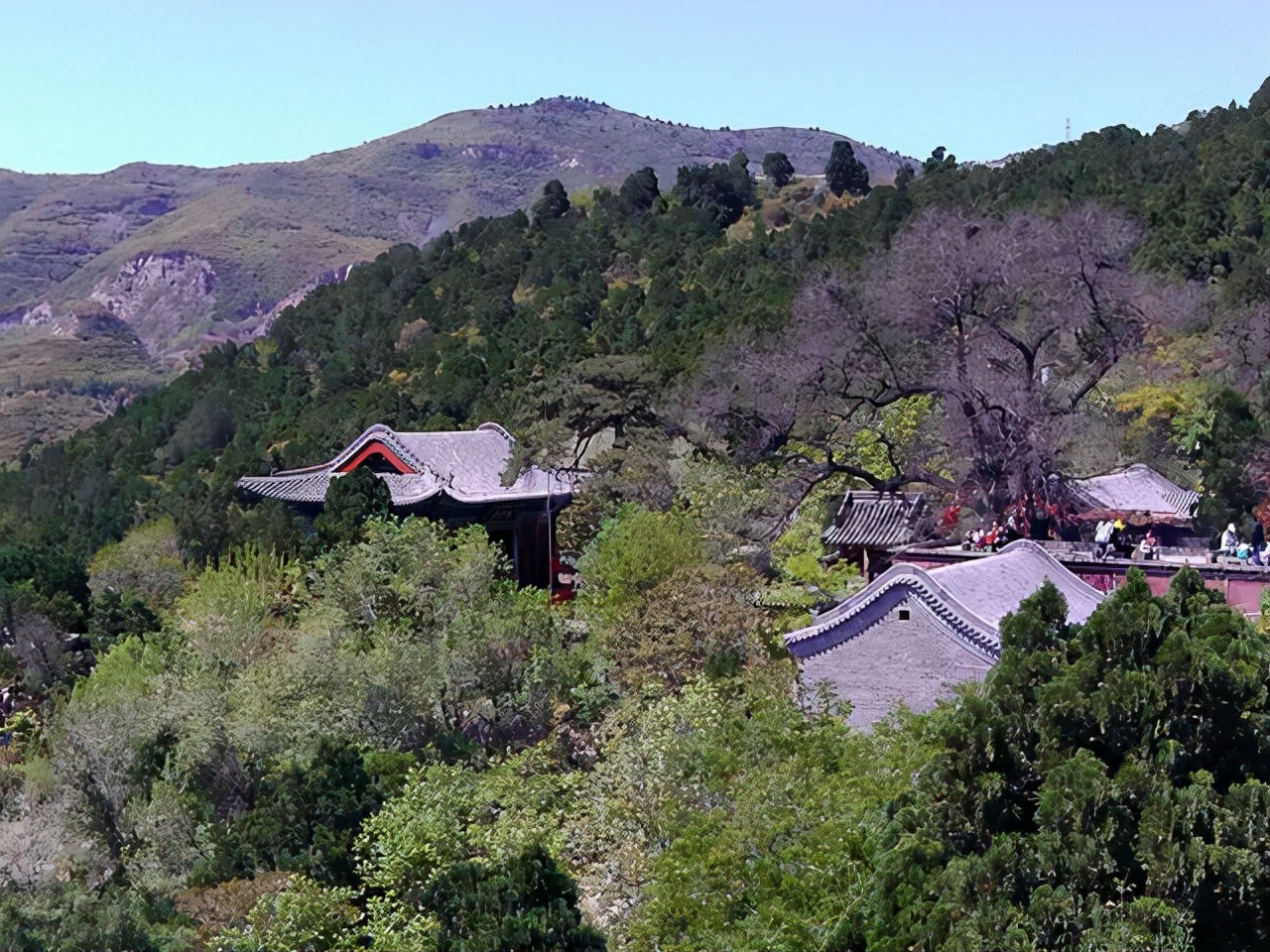 山色倾城，溪水淙淙，如此美艳的太山，千万别错过