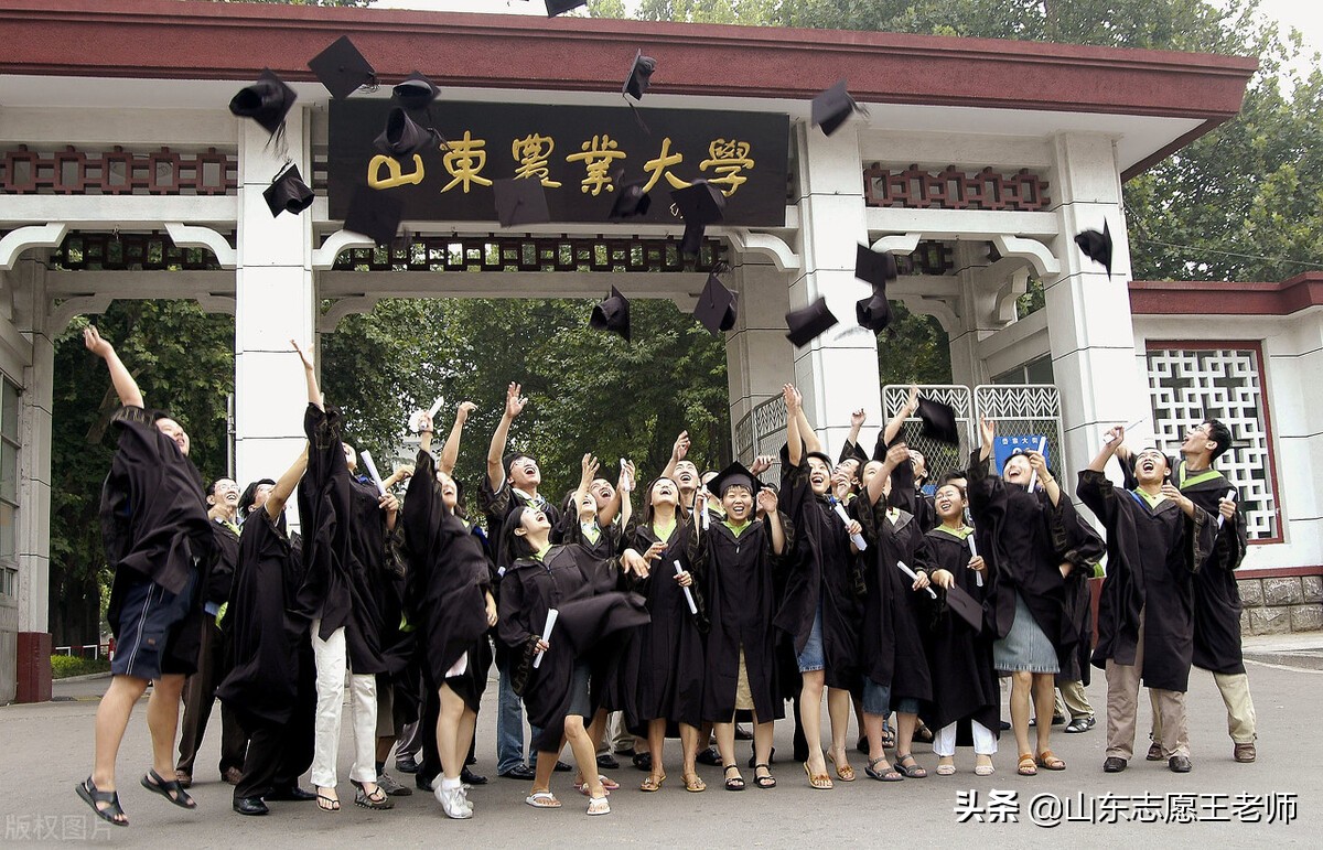 山东农业大学考研分数线（山东农业大学2021年录取分数详情及分析）